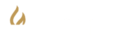 Logo Manuel Solis
